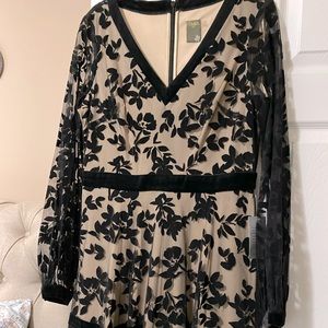 Beautiful women address